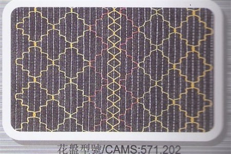 CAMS_571.202