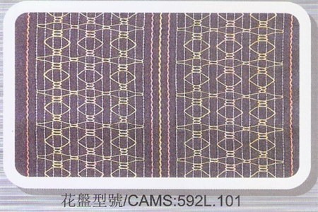 CAMS_592L.101