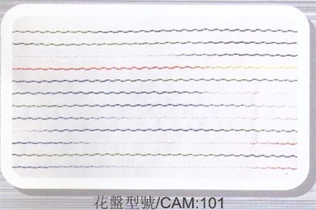 CAMS_101