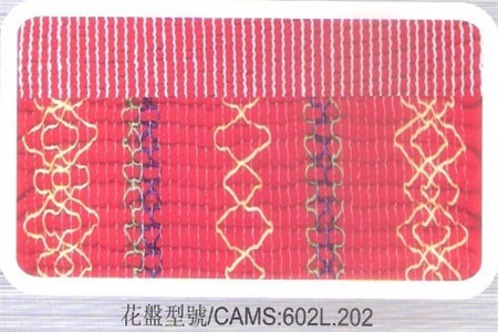 CAMS_602L.202