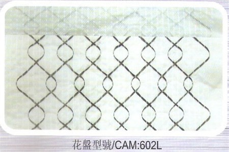 CAMS_602L