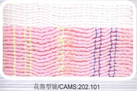 CAMS_202.101