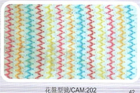 CAMS_202